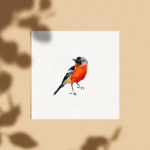 'Flame Robin' Limited Edition Print