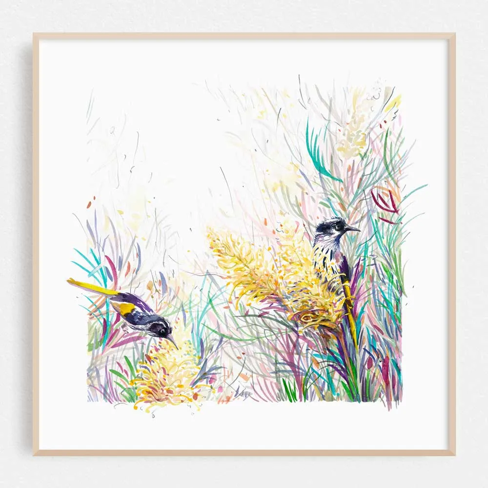 'Honeyeaters in the Moonlight' Limited Edition Print