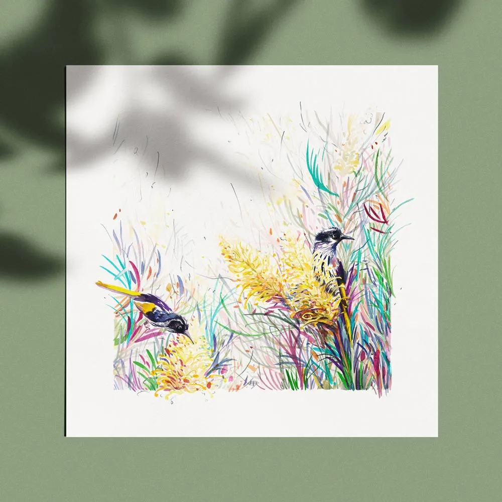 'Honeyeaters in the Moonlight' Limited Edition Print