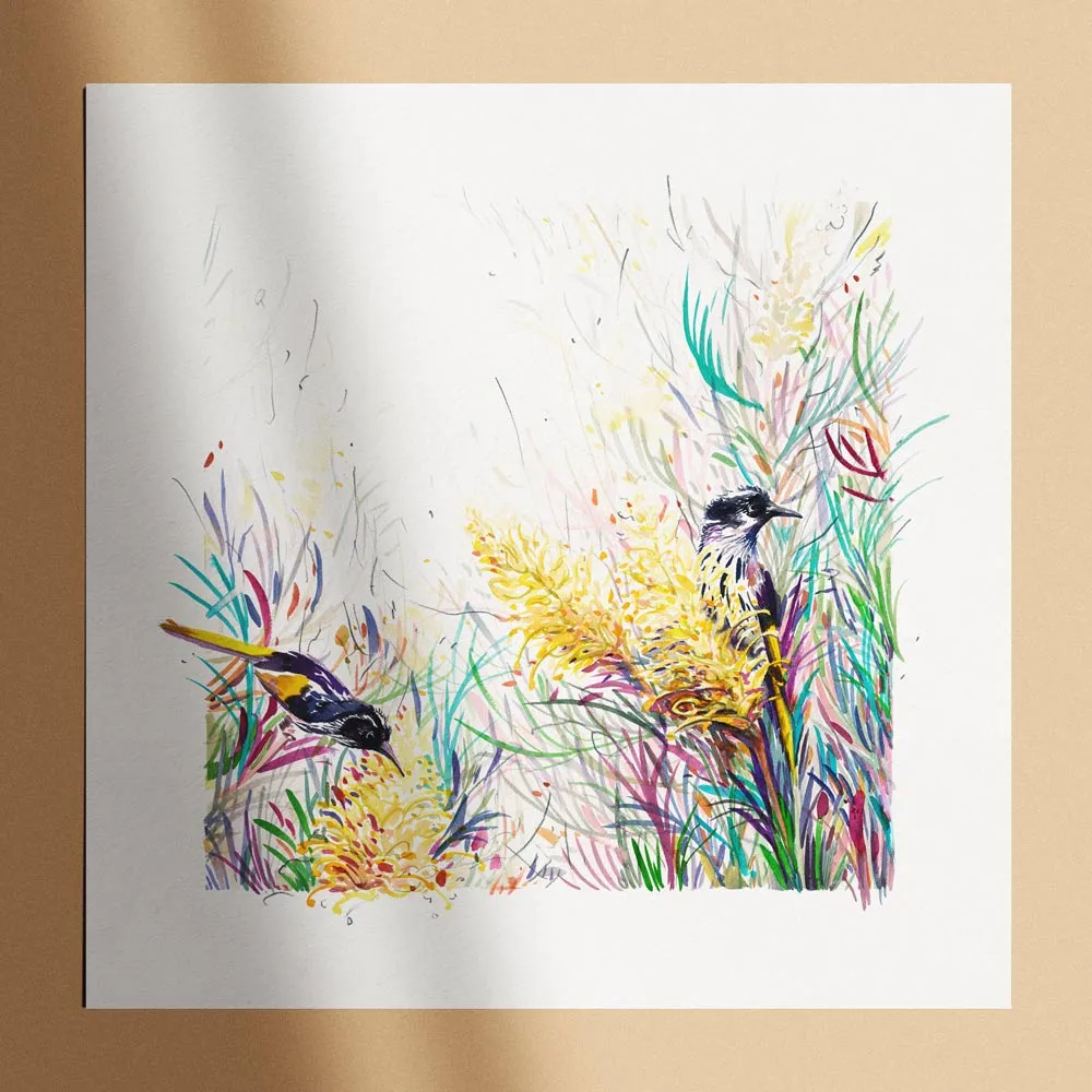 'Honeyeaters in the Moonlight' Limited Edition Print