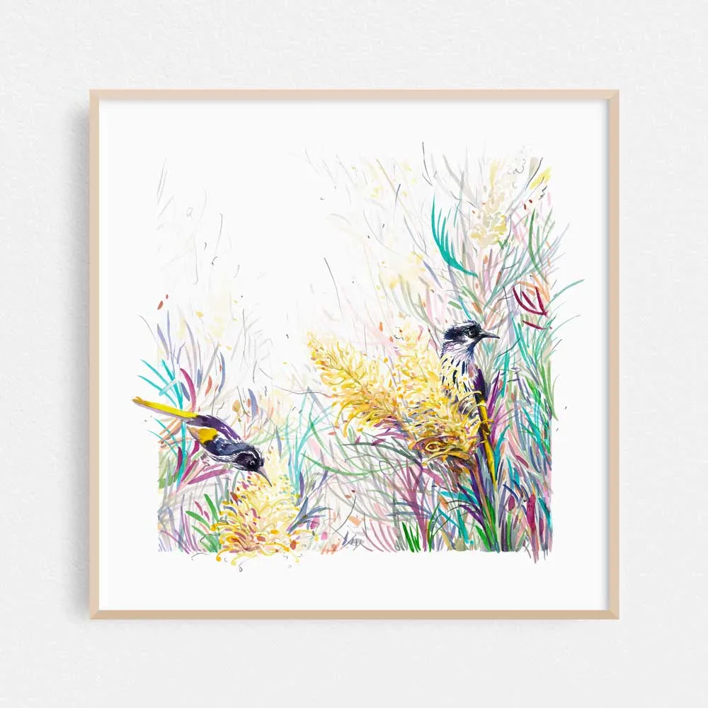 'Honeyeaters in the Moonlight' Limited Edition Print
