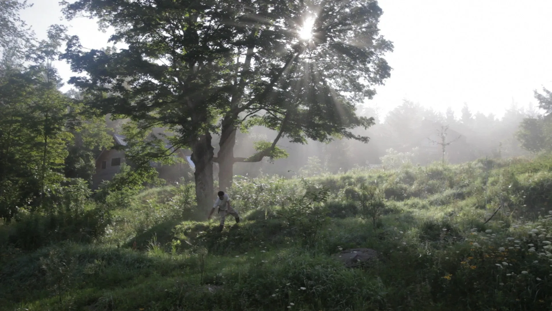 Inhabit: A Permaculture Perspective