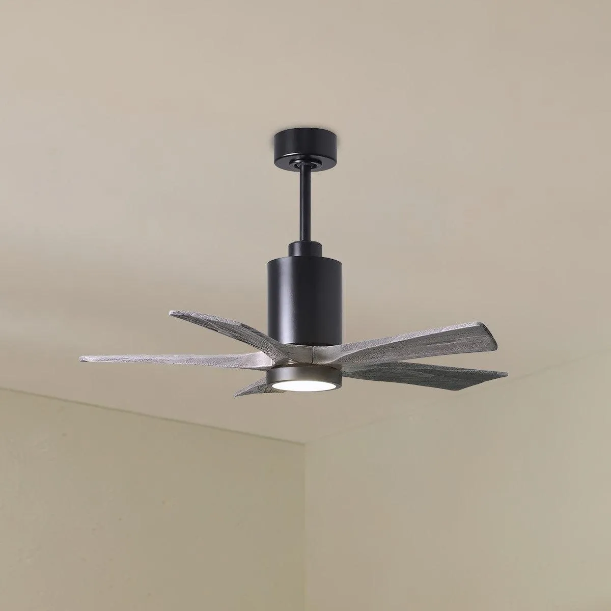 Patricia 5-Blade 42" LED Ceiling Fan