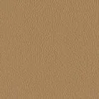 Soho Camel -  soh-7688