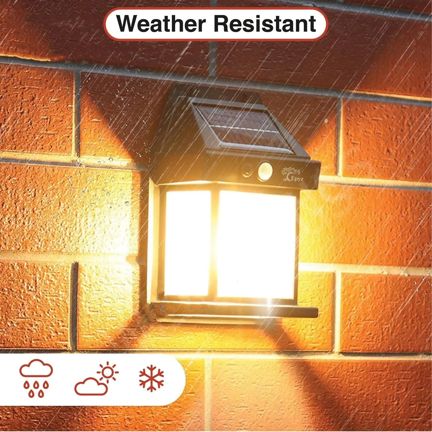 Solar Wall Motion Sensor Black Light