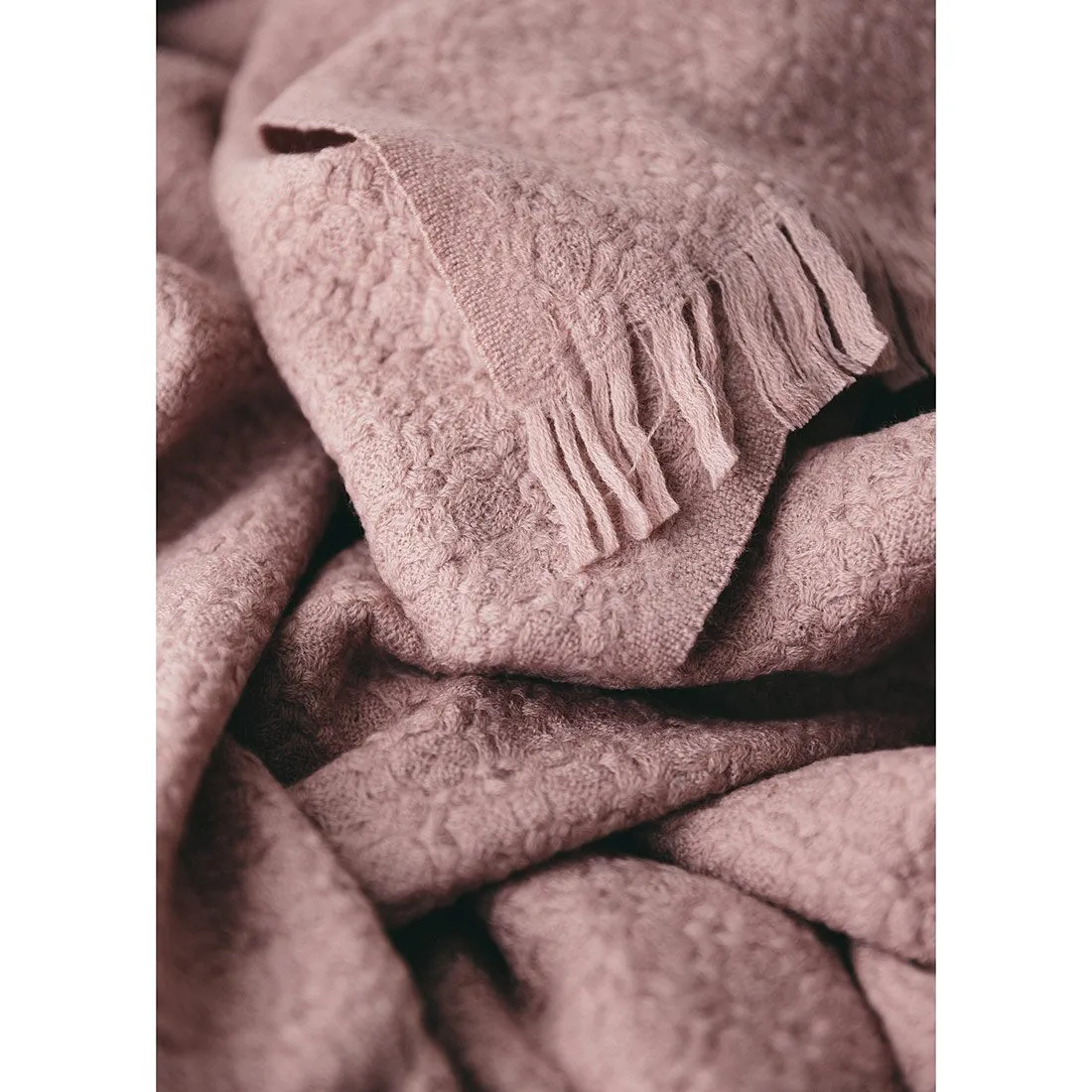 Tea Rose Pure New Wool Blanket