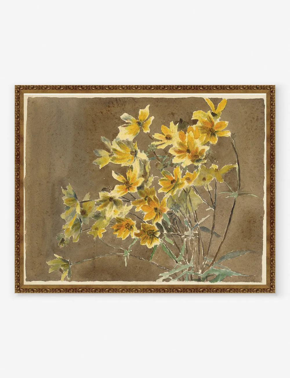 Yellow/Orange Flower with Border Print by Hannah Borger Overbeck